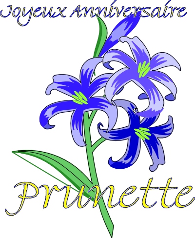 Anniversaire Prunette.jpg