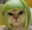 Avatar du membre