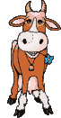 Avatar du membre